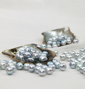 Japanese Akoya Natural <strong>Pearl</strong> Loose Beads Popular for Wholesale