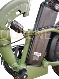 QUEENE/ EU USA CA Stock 48V750W vélo électrique <span class=keywords><strong>pliable</strong></span> à gros pneus prix à <span class=keywords><strong>porte</strong></span> vélo électrique - Product Image 2