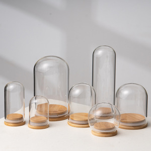 Campana di Vetro Fatta a Mano dal Design Moderno Personalizzabile con Base in Legno e Sughero Vaso da Tavolo per Uso Decorativo Fai da Te - Product Image 1