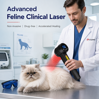 Appareil laser portatif pour animaux, thérapie laser froide, laser LLLT 650, thérapie par lumière rouge, traitement des plaies, vétérinaire
