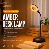 Lampe de table LED rechargeable Amazen, idéale pour la chambre, le bureau, la salle à manger, la décoration intérieure – Nouvelle collection en promotion