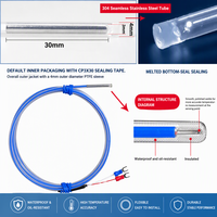 Sensor Suhu Termokopel Tipe K Berlapis PFA Tahan Asam Alkali untuk Mandi Elektroplating dan Pickling