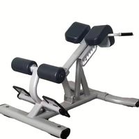 -ASJ-A035 de musculation équipement de fitness de gymnastique commerciale banc de gymnastique chaise romaine