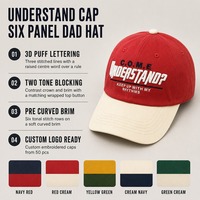 Casquettes personnalisées en gros avec broderie en relief, casquettes de baseball à six panneaux style Dad Hat, visière incurvée, snapback, 5 couleurs, OEM