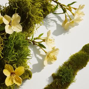 Divain 612 For Her Profumo Floreale Intenso Fragranza Primaverile da Donna - Product Image 2