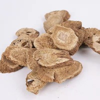 Vente en gros de racine de Costus naturelle (Yun Muxiang Aucklandiae Radix), herbe séchée 1kg pour l'encens de la médecine traditionnelle chinoise et l'huile essentielle, fourniture d'usine