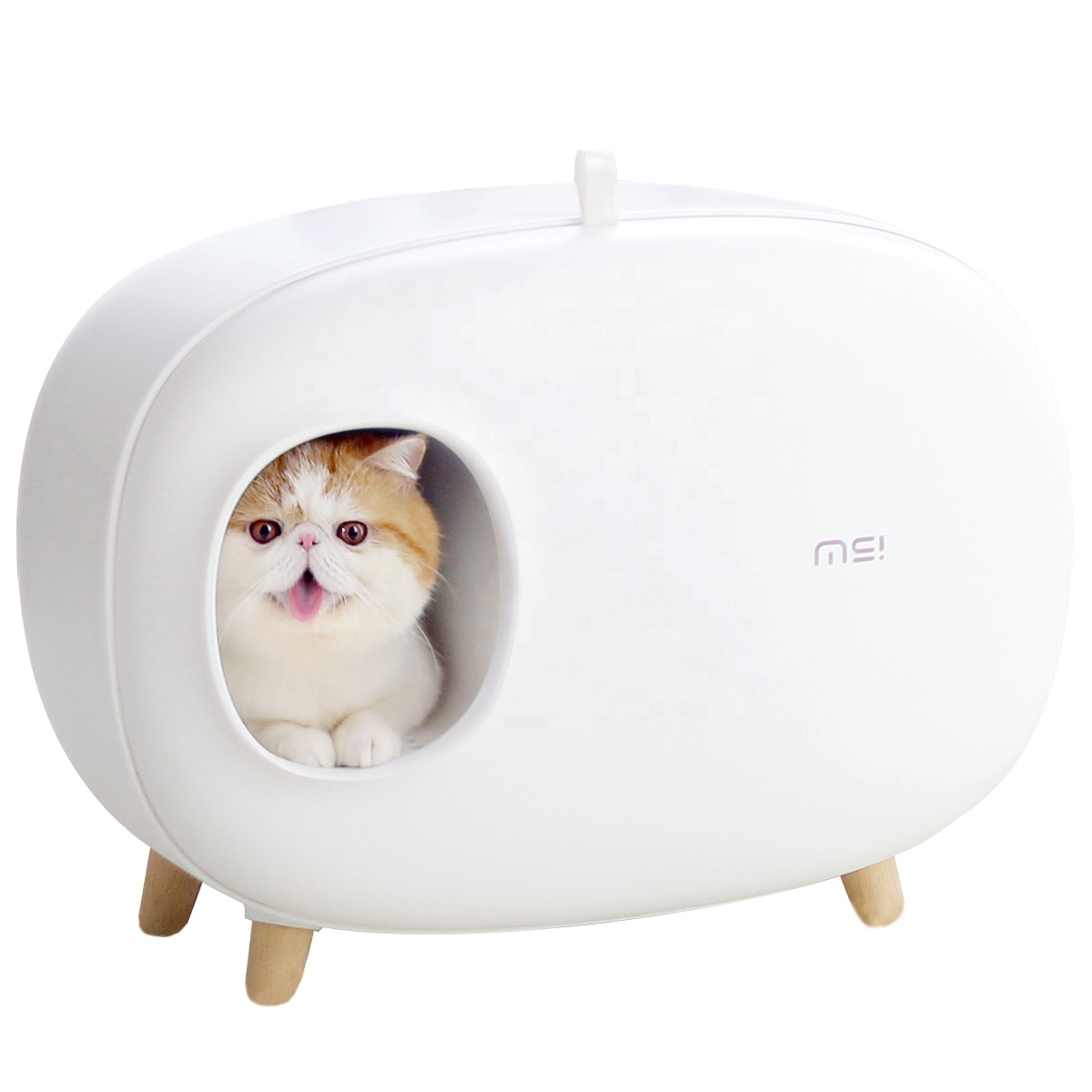 Hot in Europe wholesale pet cleaning enclosed training cat litter box fashion and lightweight toilets for cats high quality