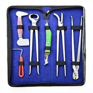 Kit de 6 Herramientas Profesionales para el Cuidado de Pezuñas de Caballos, Cuchillo para Pezuñas, Extractor de Clavos, Limpiador, Pinza, Pulidor, Equipo Ecuestre - Product Image 1