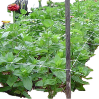 Filet de soutien pour plantes grimpantes, treillis en HDPE pour concombres, tomates, pois et légumes