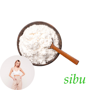 Gestion du régime alimentaire personnalisée Supplément de soutien métabolique Sibu en poudre Soutien à la gestion de l'énergie corporelle Sibu - Product Image 1