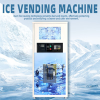 Distributeur automatique de glace commercial pour l'extérieur, machine à glace en libre-service pour les zones de villégiature et de plage