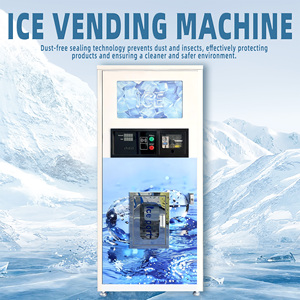 เครื่องทำน้ำแข็งอัตโนมัติสำหรับใช้งานกลางแจ้งเชิงพาณิชย์ บริการตนเอง เหมาะสำหรับพื้นที่ชายหาดและรีสอร์ท - Product Image 2