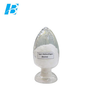 Collagène porcin Poudre - Product Image 3