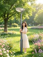 Lampe de jardin LED 30W de style européen traditionnel, tête de lampe IP65, alimentation électrique, corps en aluminium moulé sous pression, éclairage paysager direct