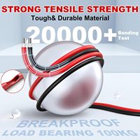 2x100 Fuß 1800V 6mm Verzinntes Kupfer Solar-PV-Kabel 10AWG für Außenbereich, Automobil, Wohnmobil, Boot, Marine