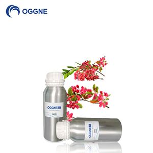 2021 Best Stylish <span class=keywords><strong>The</strong></span> Rain Garden Ätherische Öle 100% reines natürliches Duftöl 500ml für Aroma Luftbe feuchter Diffusor - Product Image 5