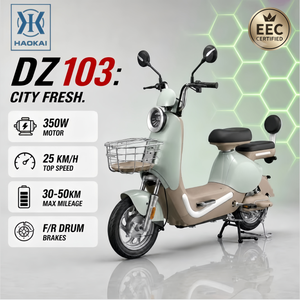 Vélo électrique rétro 48V 350W, vélo électrique, 25 km/h, autonomie 30-50 km, élégant, léger, pour les trajets en ville, les loisirs, les adultes - Product Image 1