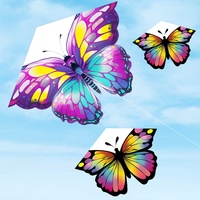 Nouvel Arrivage Cerf-volant Papillon à Ailes Volantes Couleur Personnalisée 100x70cm Matière Polyester Poignée de Vol de 50m Vente en Gros Marchandises Réceptives