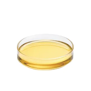 Protoga Factory Price Wholesale Schizochytrium Extraction 50% DHA Algal Oil For Healthy