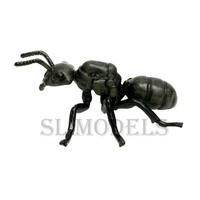 Modelos SL de Alta Calidad, Figura de Hormiga de Plástico Sólido Realista, Modelo Educativo, Producto Terminado, para Niños de 4 a 12+ Años, Unisex