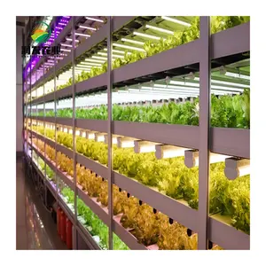 Alta eficiência 40ft recipiente vertical fazenda sistema de cultivo hidropônico planta fábrica para vegetais