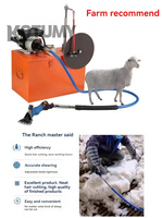 Tondeuse électrique pour moutons avec affûteur de lames, nouvelle machine à tailler la laine, affûteuse de couteaux pour chèvres, composants essentiels du moteur