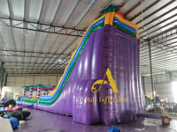 Toboggan aquatique gonflable géant avec piscine, palmiers tropicaux, toboggan aquatique gonflable humide et sec, toboggan aquatique Screamer