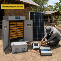 Incubateur solaire automatique pour œufs de poule, grande capacité, 1232 œufs