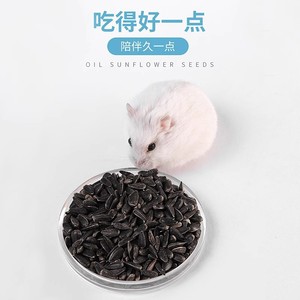 Semillas de Girasol, Semillas de Melón Negro para Hámster, Alimento para Animales Pequeños, Snacks Ecológicos para Mascotas - Product Image 3