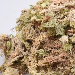 Decoratief Natuurlijk Gedroogd Rendier Mos Gedroogd Veenmos In Verschillende Hoeveelheden Transporteerbaar - Product Image 5