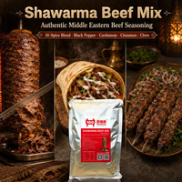 Großhandel Rindfleisch-Schawarma Gewürzmischung für Restaurants & Kebab-Läden, Lebensmittelqualität