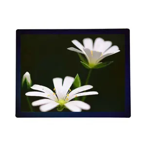 Customized 5.7 inch middle LCD display panel square high resolution 640*480 display module screen