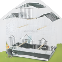 Pinsons, canaris, perruches, calopsittes tweeter cage sur le toit des oiseaux
