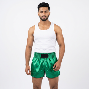 Shorts de Kickboxing et de Muay Thai de Qualité Supérieure avec un Nouveau Design, Taille Élastique, Logo sur le Devant - pour les Arts Martiaux - Product Image 1