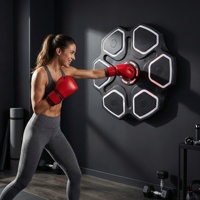 Appareil de fitness pour salle de sport : Cible de boxe musicale intelligente pour l'entraînement de boxe