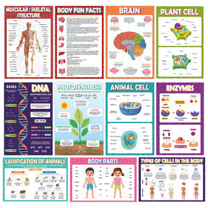 18 Affiches de Sciences Biologiques en Papier Imperméable pour la Classe de Collège/Lycée – Matériel Pédagogique pour Étudiants - Product Image 5