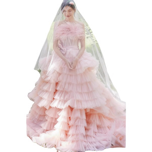 Pink Tulle Ball Gown Strapless Wedding Dress With Train For Outdoor Photography - Product Image 5