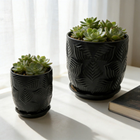 Lot de 3 pots de fleurs modernes de 6 pouces pour intérieur et extérieur avec trous de drainage et soucoupes, pour usage domestique, auto-arrosants