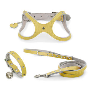 Juego de arnés y correa para cachorros <span class=keywords><strong>Bb</strong></span> de lujo con logotipo personalizado ajustable reciclado impermeable <span class=keywords><strong>Collar</strong></span> para mascotas pequeñas con remaches - Product Image 2