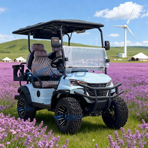 Carrito de Golf Eléctrico Equipado con Neumáticos Todoterreno de 14 Pulgadas y Color Personalizable - Product Image 1