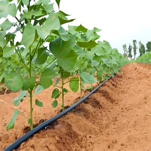 Système d'irrigation goutte <span class=keywords><strong>à</strong></span> goutte complet pour une surface de 1 hectare (1 acre) pour la culture de <span class=keywords><strong>l</strong></span>'ail, bande d'irrigation goutte <span class=keywords><strong>à</strong></span> goutte agricole pour oignon de 16 mm - Product Image 1