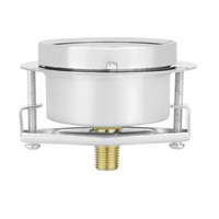 High Sensitivity Capsule Mount Gauge Stainless Steel Flange Panel Pressure Gauge for Low-Range Gas Pressure Monitoring