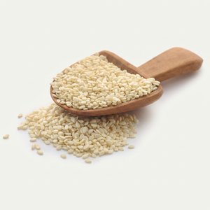 Graines d'huile de sésame de qualité supérieure en provenance d'Inde - Product Image 1