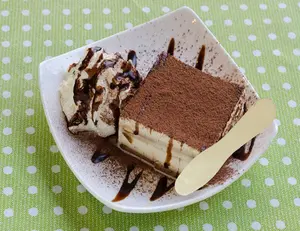 Pacchetto individuale di betulla cucchiaio per gelato sostenibile bastoncini di gelato strumento