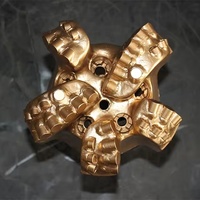 Vente chaude PDC BIT prix usine pour le forage de puits d'eau pour le bris de roche dure de puits de pétrole