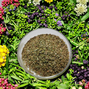 Kosher and Halal Certified <strong>Oregano</strong> <strong>Flakes</strong> and Powder Chopped Raw Herb Spices Dried by Sun and Shade Method - Product Image 1