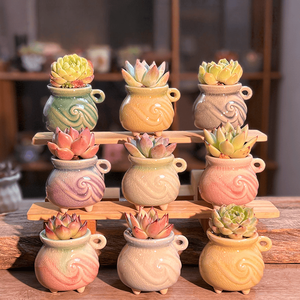 Pot à succulentes en céramique de style jardin, ensemble de pots de fleurs mignons, pots de fleurs en céramique en gros, pot fait main - Product Image 5