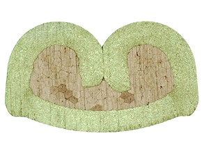 เครื่องมือจีบสายไฟแบบมือหมุน รุ่น NB-3510 สำหรับขั้วต่อสายไฟ - Product Image 4