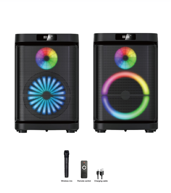 10 Inch Dual Voice Coil for Outdoor DJ Party Speakers with Mic & AUX & RGB LED Lights & Remote Control Karaoke Family KTV Use