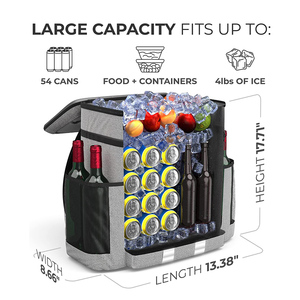 <span class=keywords><strong>2025</strong></span> Neue tragbare wasserdichte leichte Kühler rucksack Isolierte auslaufs ichere weiche Kühltasche für Picknick camping und Mittagessen